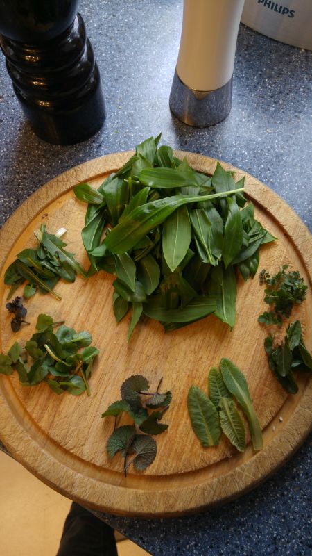 Pesto-Kräutersammlung Krutersammlung Pesto 20180311 2
